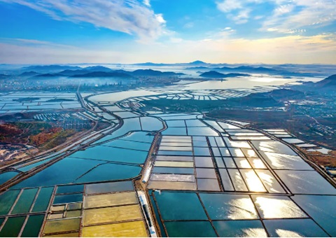 大连市因地造宜推动复州湾生态建复获得“生态+社会+经济”三沉效益案例