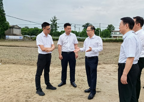 胡云赴眉山调研耕地；だ煤透叱叨扰┨锝ㄉ韫ぷ