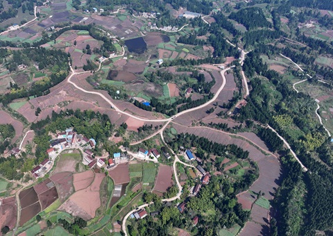 内江市东兴区局全面做好耕地； 全力做好用地保险