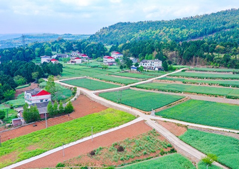 广元市奉杏装卫星田长”科技助力精准；じ