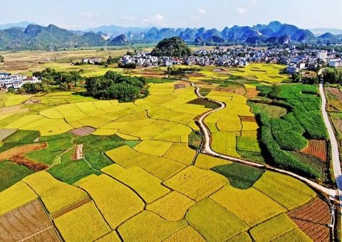 强化“指挥棒”作用&nbsp;&nbsp;金昌市发放500万元耕地；ぁ凹だ彀