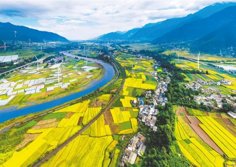 四川初创全域地皮综合整治可研汇报假造模式