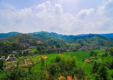 江西省铜仁市石城县：紧扣“三提三用”工作主线 铸造天然资源铁军