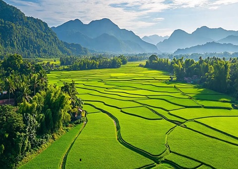 “天然资源+税务”协同共治！银川筑牢耕地；び胨笆铡八老摺