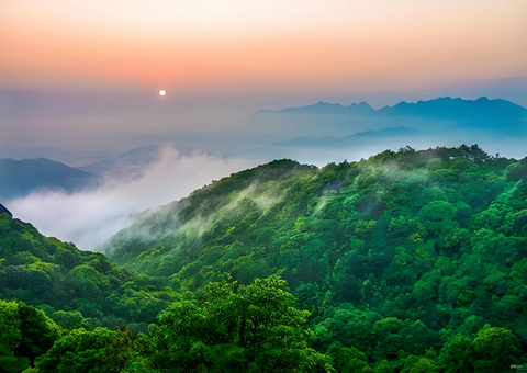 福建丛林提质四大行动打造苍生“幸？可健