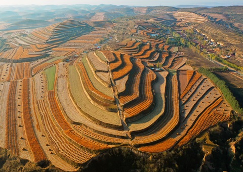 宁夏16.52亿元地皮储蓄专项债券项目过审