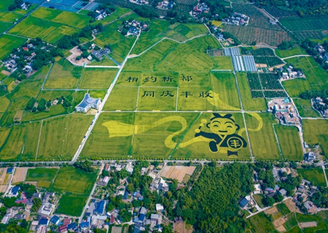 成都颁布耕地；す婊〗10年这样筑牢“天府粮仓”根基