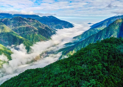“组合包”，通顺生态产品价值转化