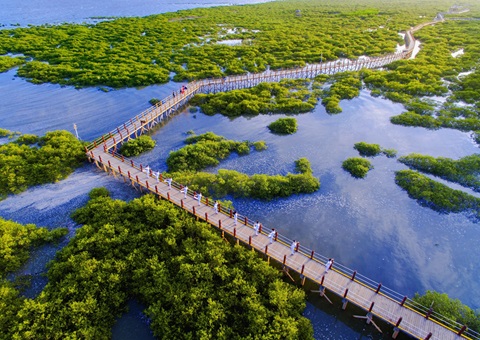 武威市打出天然资源身分保险“组合拳”  精准赋能村落全面振兴