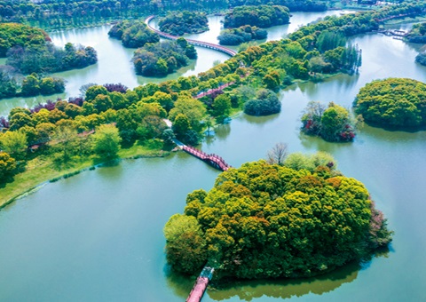 江西省湿地；ぢ室汛61.99%