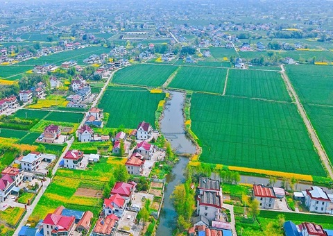 周口市局成立“三项机造”全力保险村落振兴用地需要