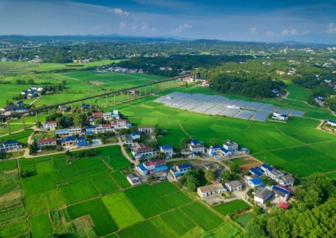 湖南：靶向发力盘活存量地皮资产<br>为206家机关企事业单元定造措置规划，盘活地皮2.6万亩