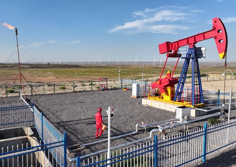 宁夏纵深推动新一轮找矿突破战术行动，执行一批煤层气、页岩气、煤炭等勘查项目