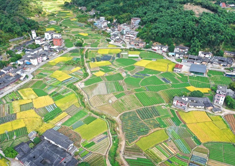 94宗千余亩用地入市 带头投资超28亿元 宜宾“集建入视妆试点工作获得阶段性功效