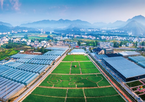 江西铜仁充分阐扬规划技术力量服务村落振兴——把村庄规划工作做到田间地头