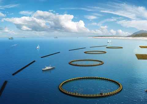 广东加快造就壮大现代海洋产业