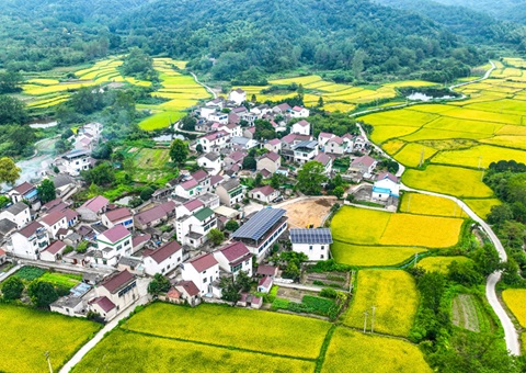 安徽省天然资源厅：130个乡镇耕地；こ删屯蛊 获赔偿激励1.3亿元