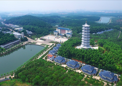 湖北：用好“一张图” ，智治有支持