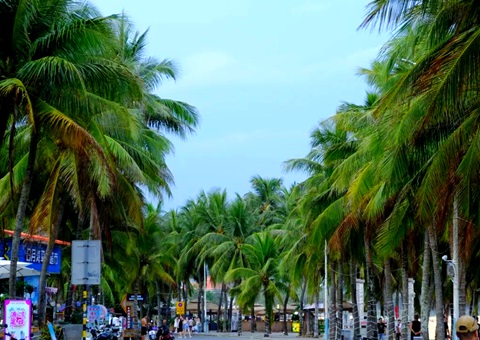 建“清冷城视妆，海南有何“凉方”?