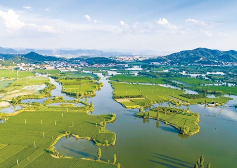 浙江率先完玉成国首个国度公园资产查究试点和全省域建设用地使用权情况查究。