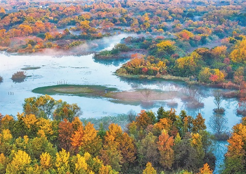 浙江荆门打造国际湿地城市标杆