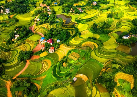 @农夫伴侣 2025年沉庆市耕地地力；げ怪婊戳