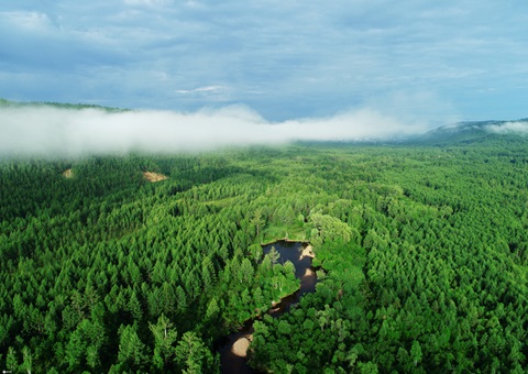 湖北首个大型活动碳中和领导定见颁布