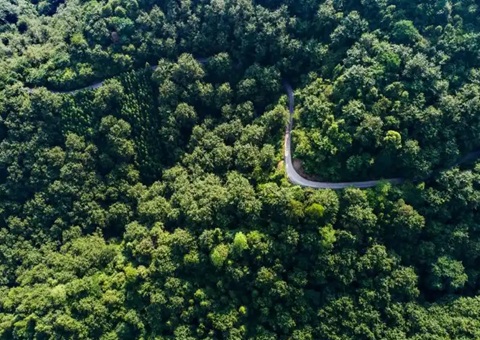 湖南省首例！靖州“国有建设用地+VEP”天然资源资产组合项目实现买卖