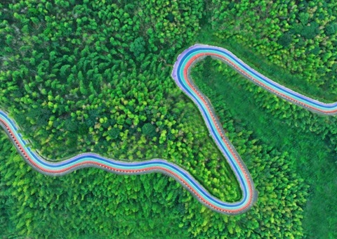 组合供给出新招，竹海收益节节高——桃江县“桃花江竹海”天然资源资产组合供给推动生态产品价值实现案例