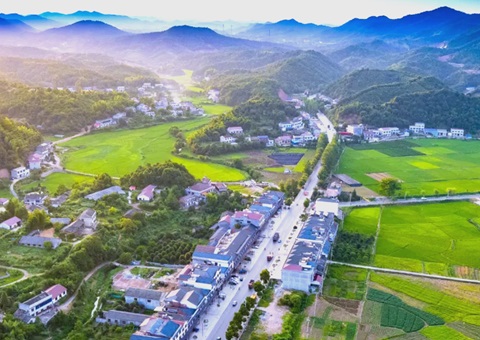 湖南浏阳索求村集体两全流转新模式