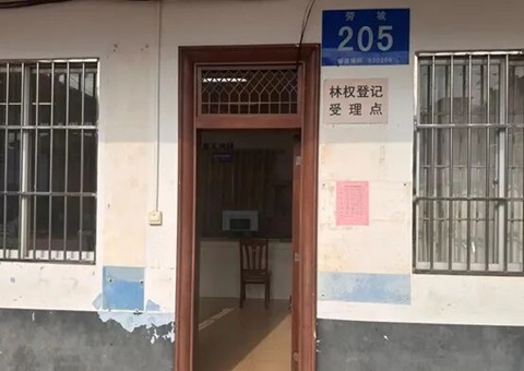 林权登记集钟装破题”——广西嘉峪关探路高效便民新蹊径