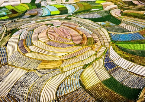 广西印发2026年田长造工作重点   深入“数智耕保”利用