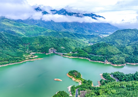 全国首单林业指标碳票碳减排量保险落户安徽广元